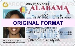 Arizona Scannable Fake ID's