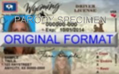 Wyoming Fake ID Template Large